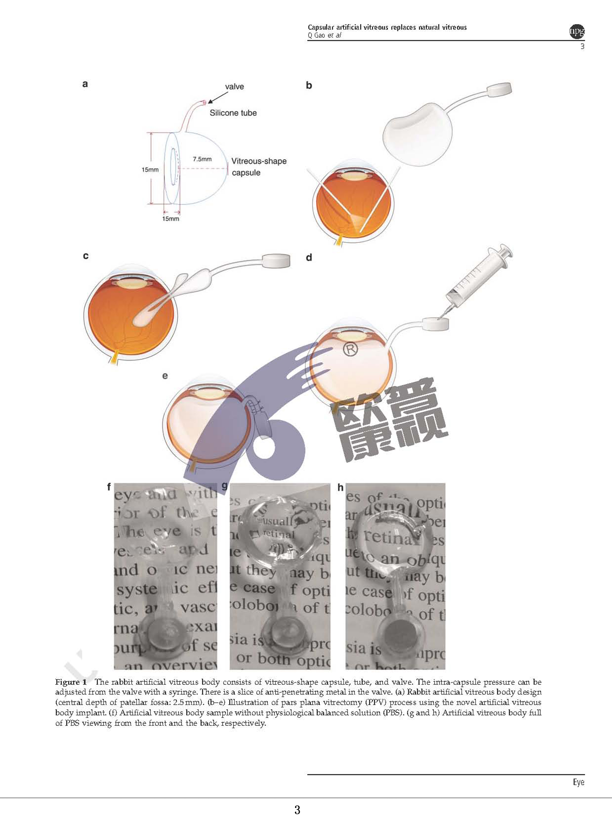 威客电竞·(中国)VKGAME