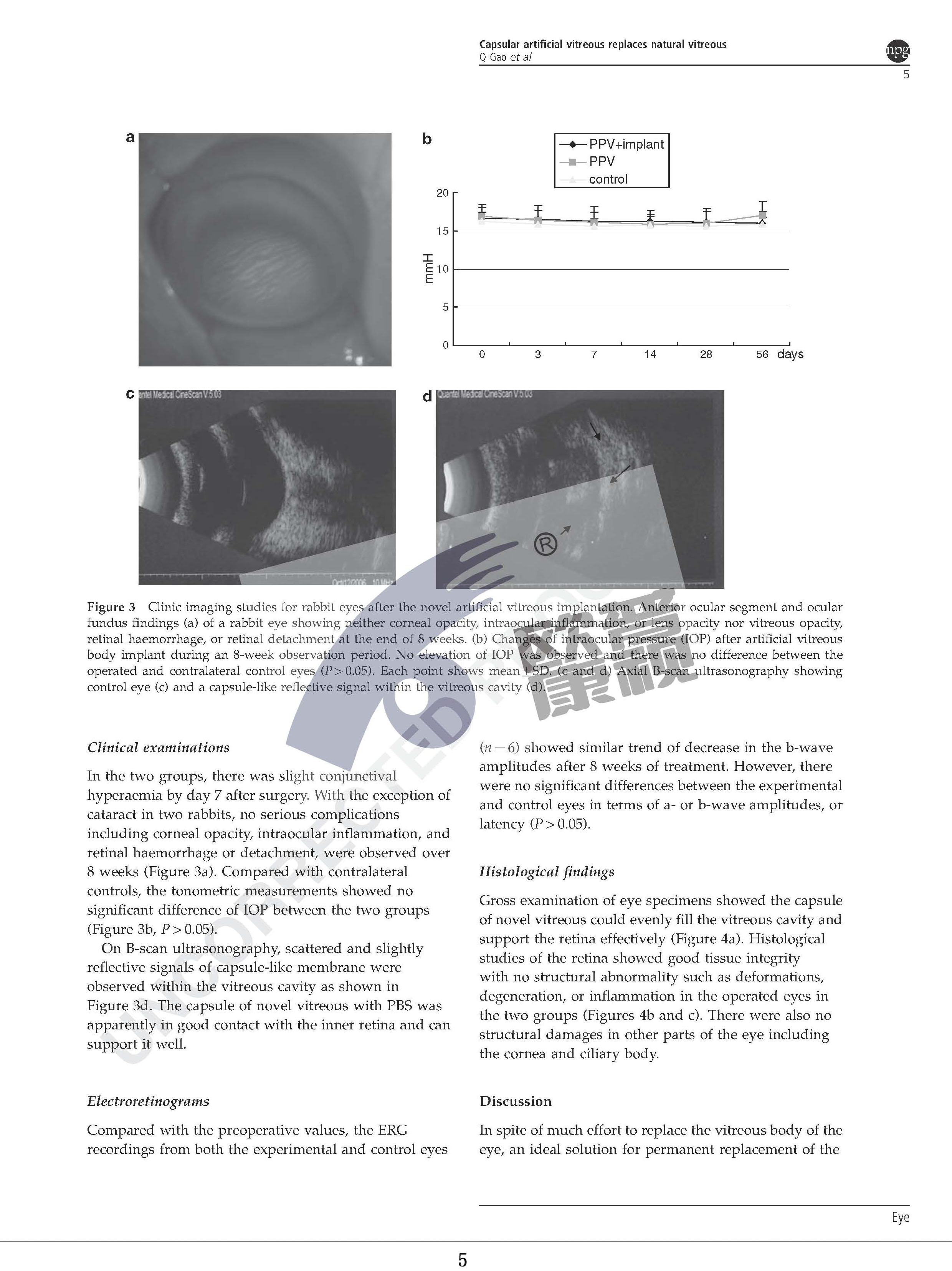 威客电竞·(中国)VKGAME