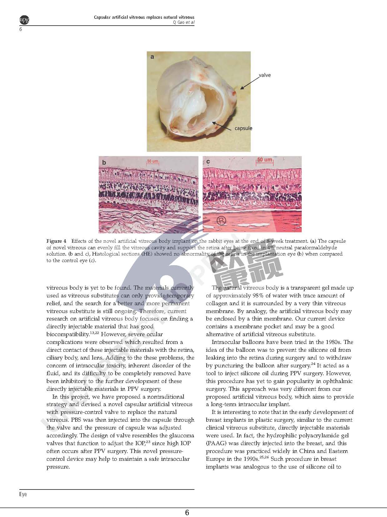 威客电竞·(中国)VKGAME