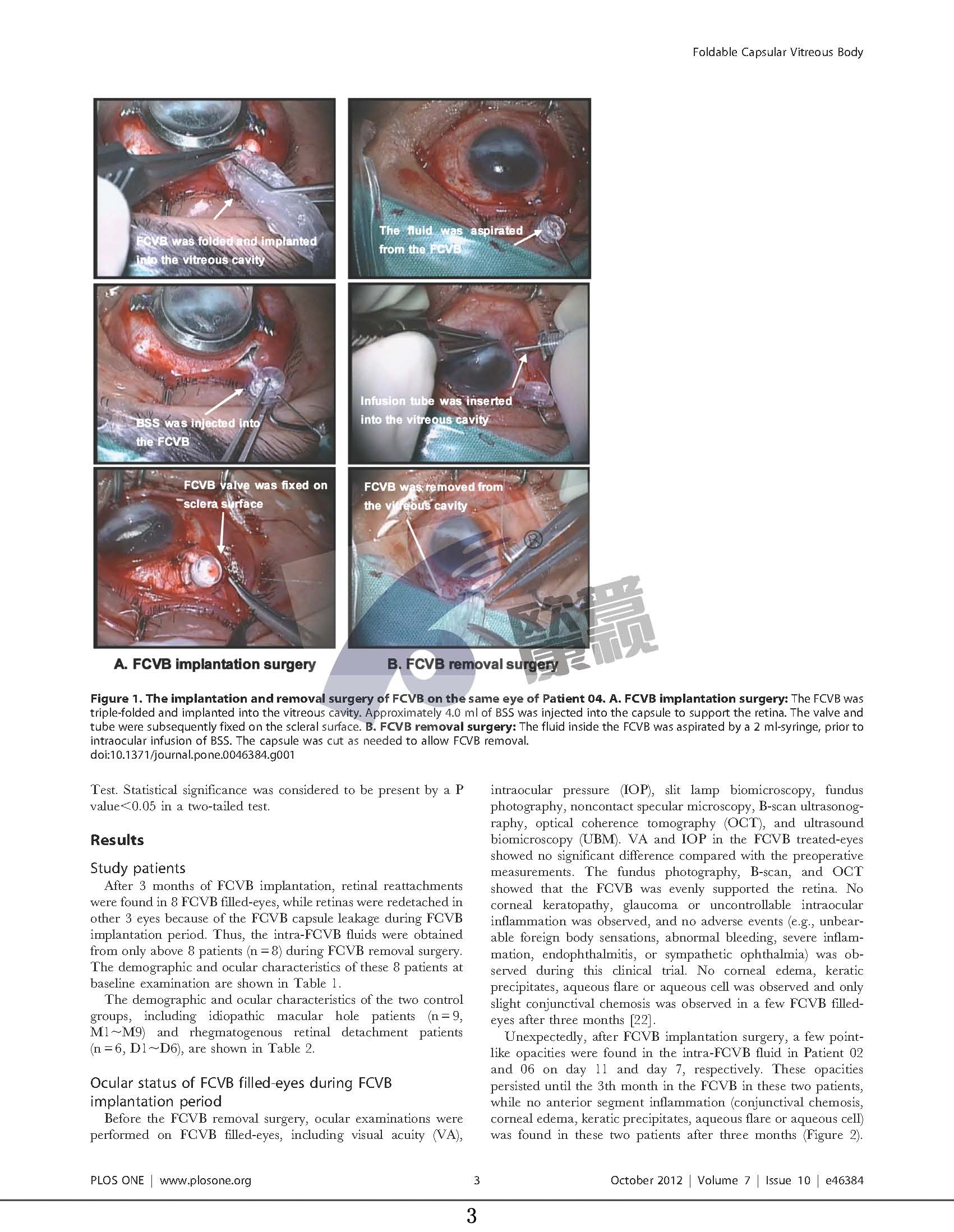 威客电竞·(中国)VKGAME