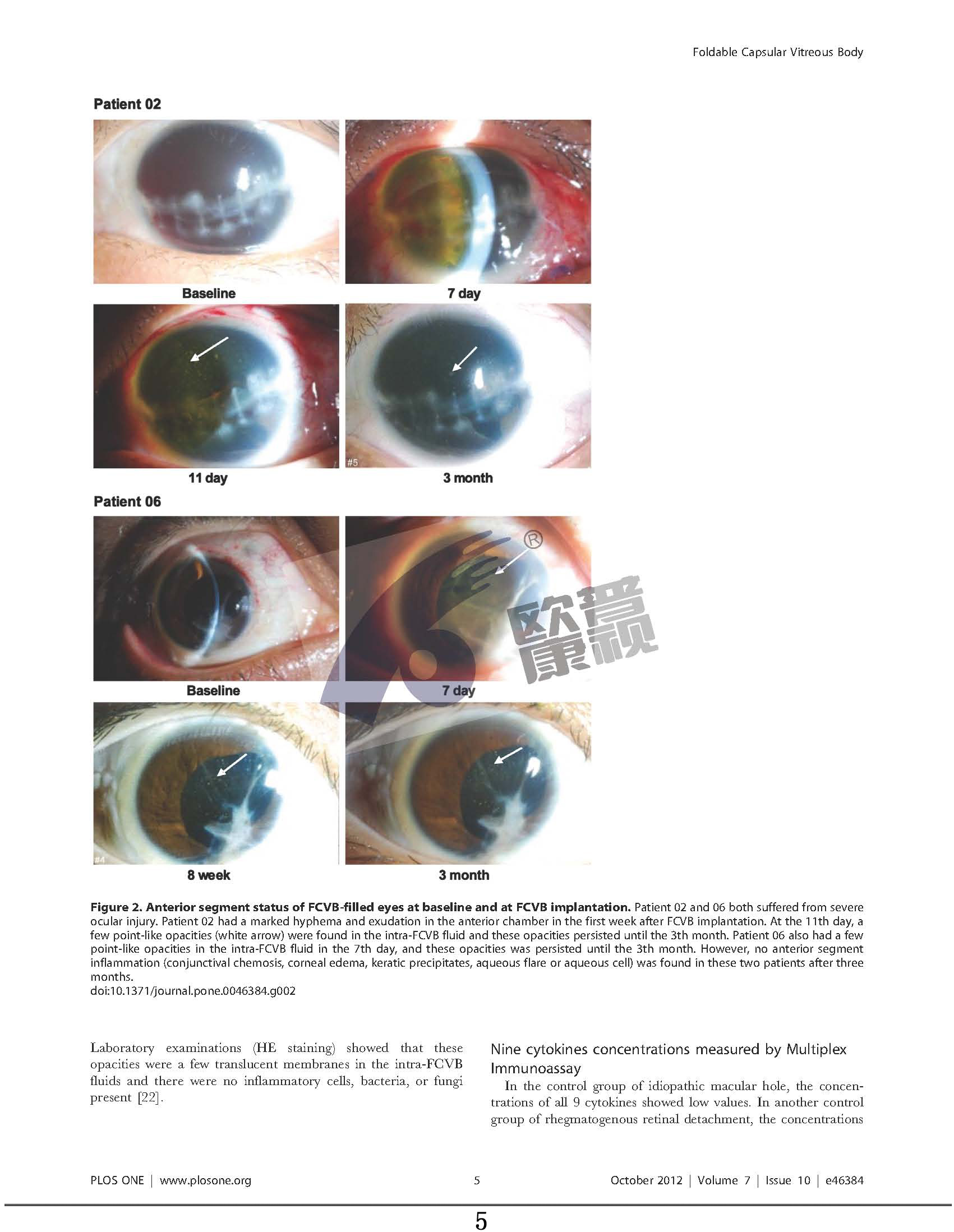 威客电竞·(中国)VKGAME