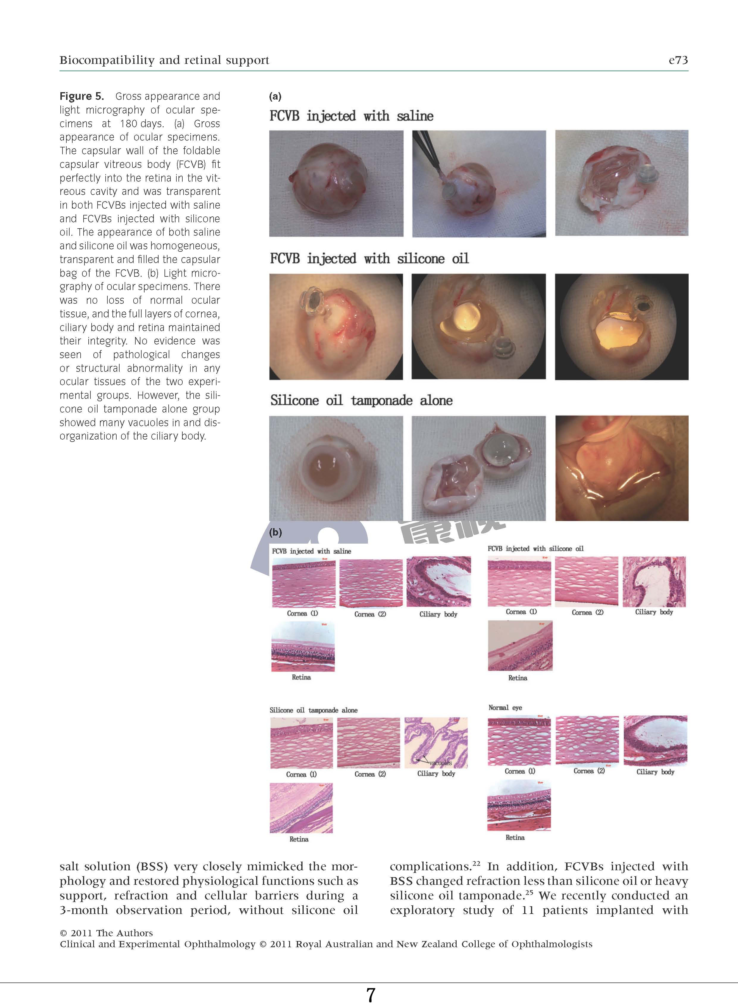 威客电竞·(中国)VKGAME