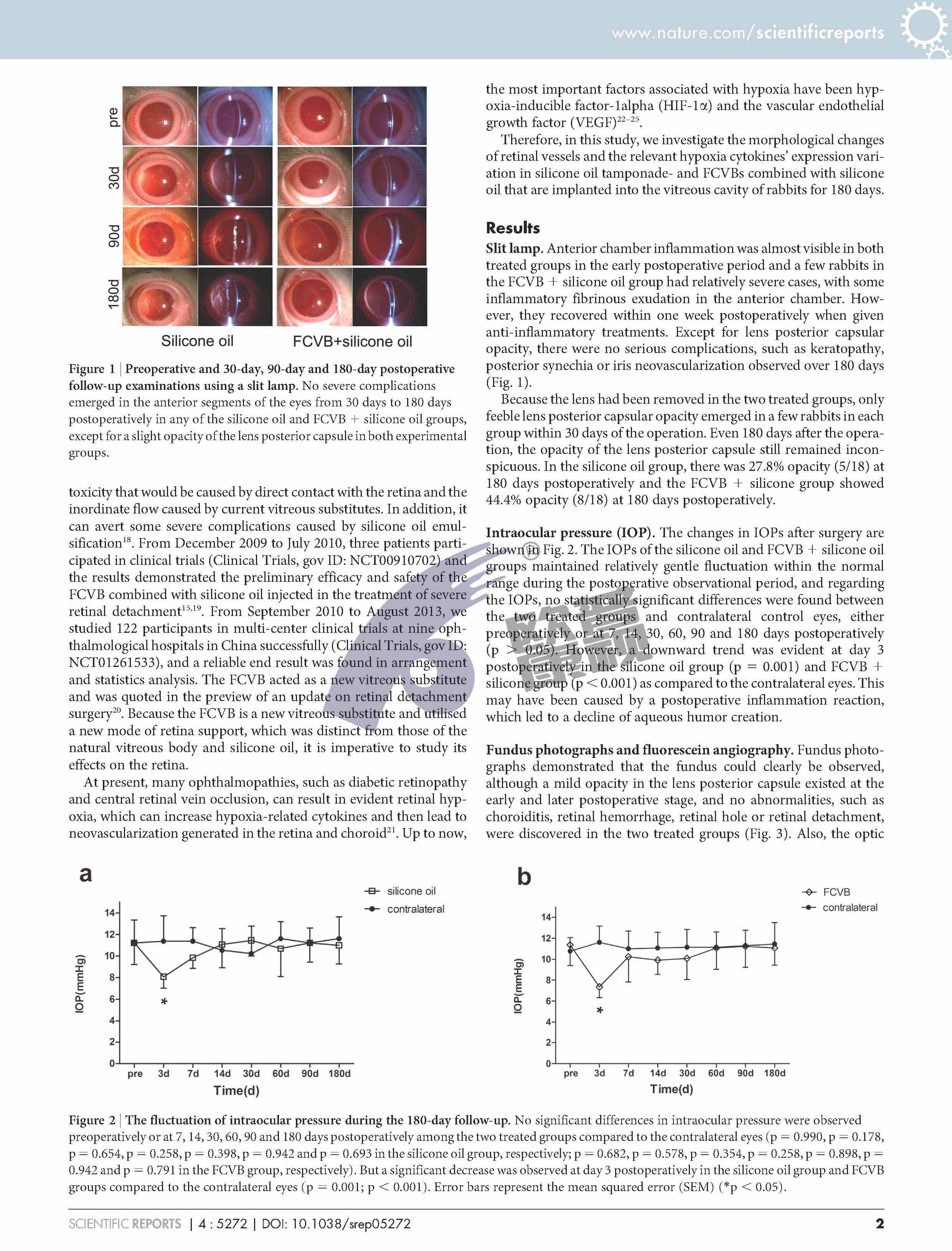 威客电竞·(中国)VKGAME