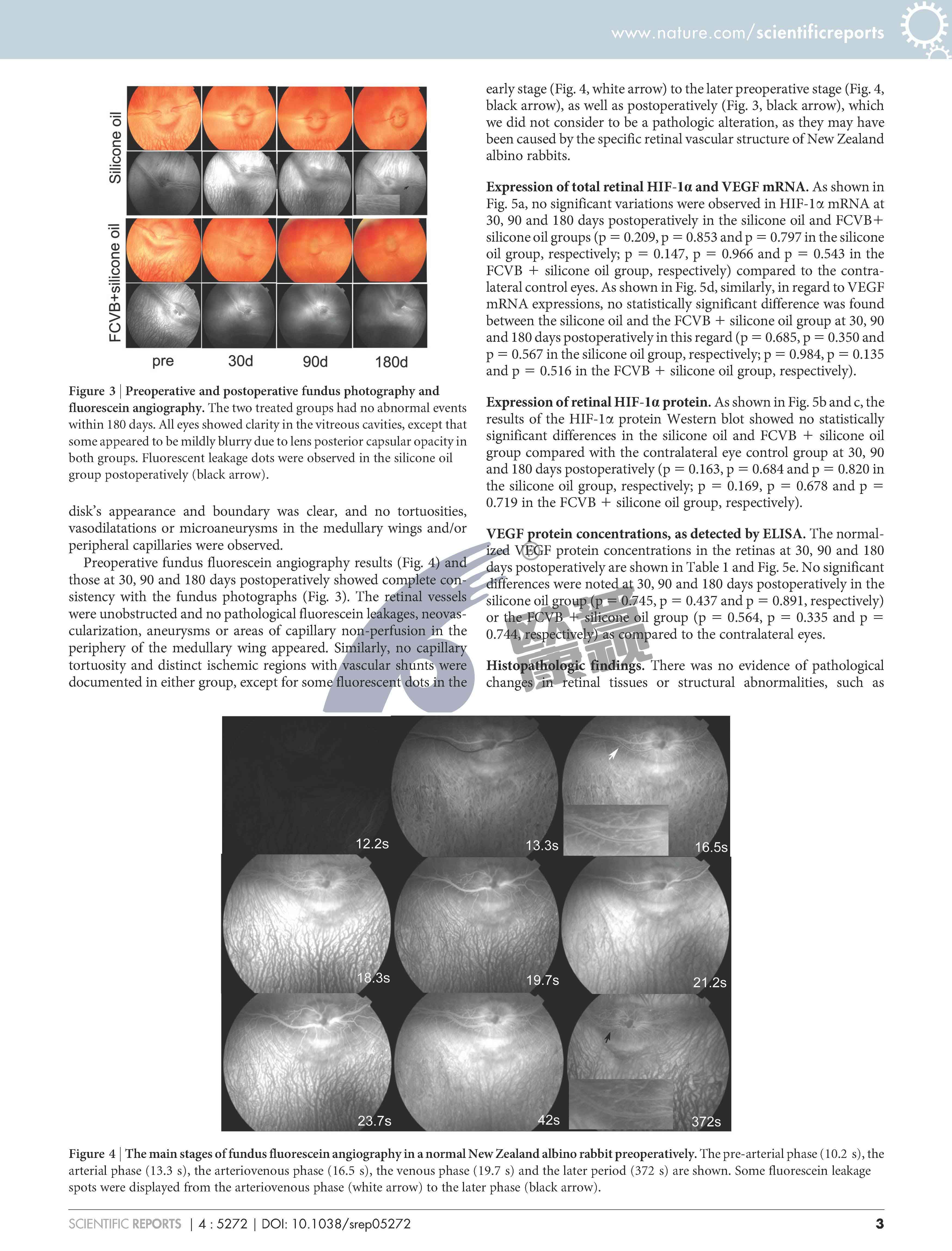 威客电竞·(中国)VKGAME