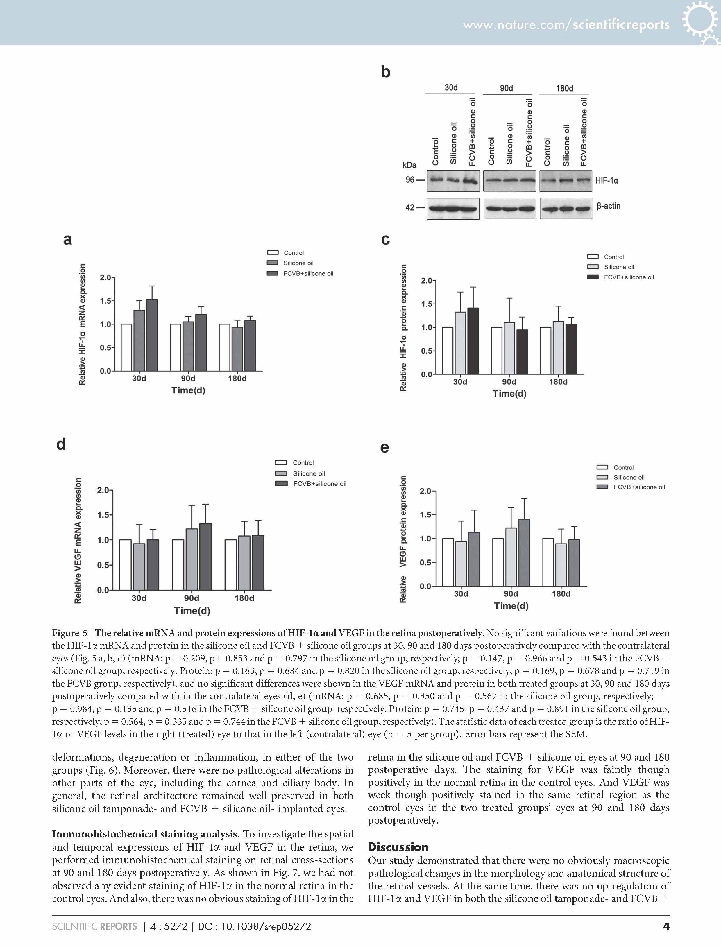 威客电竞·(中国)VKGAME
