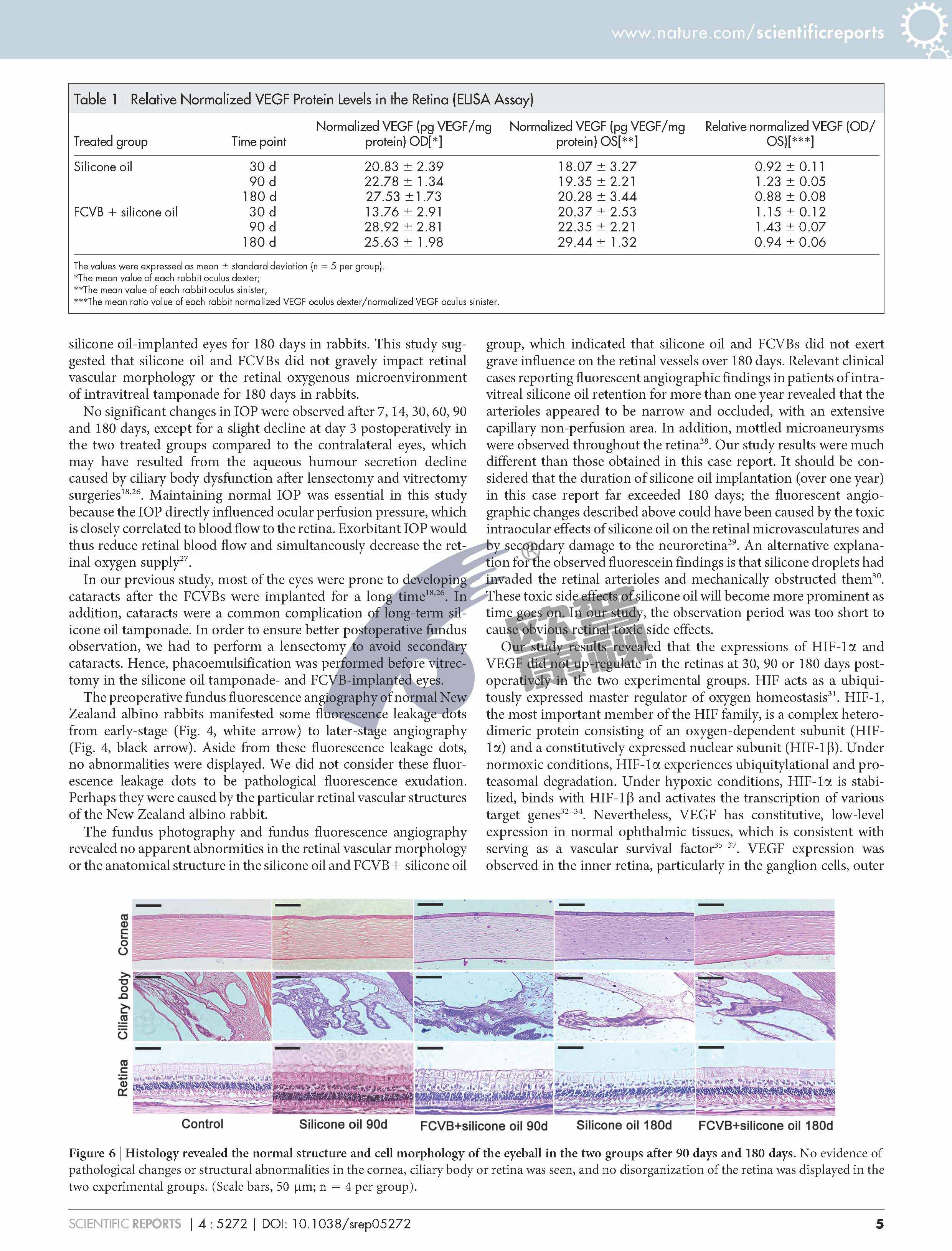 威客电竞·(中国)VKGAME