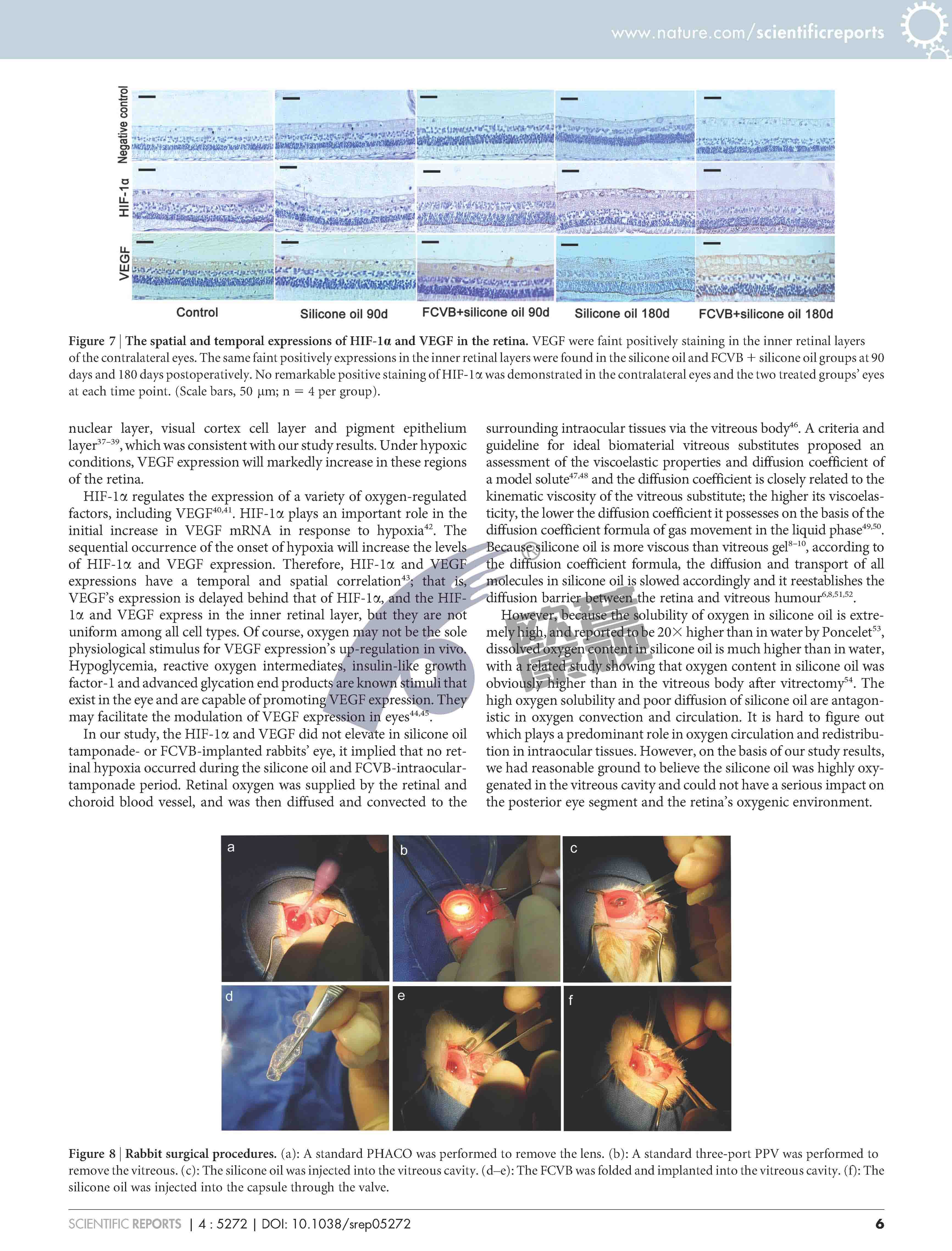 威客电竞·(中国)VKGAME