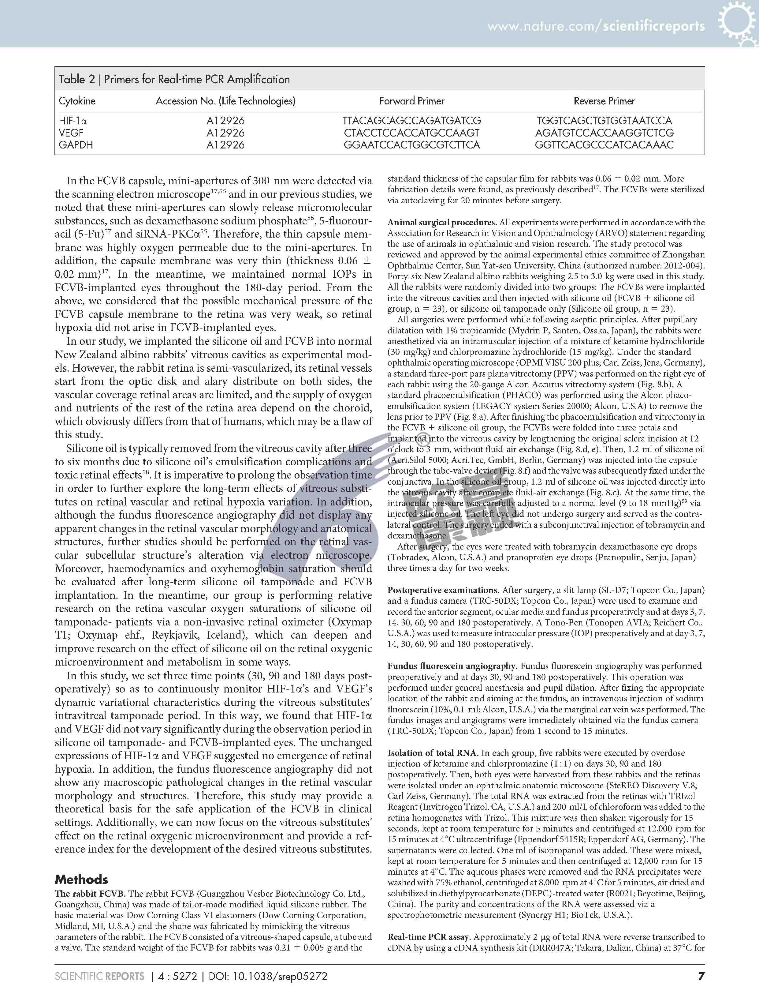 威客电竞·(中国)VKGAME