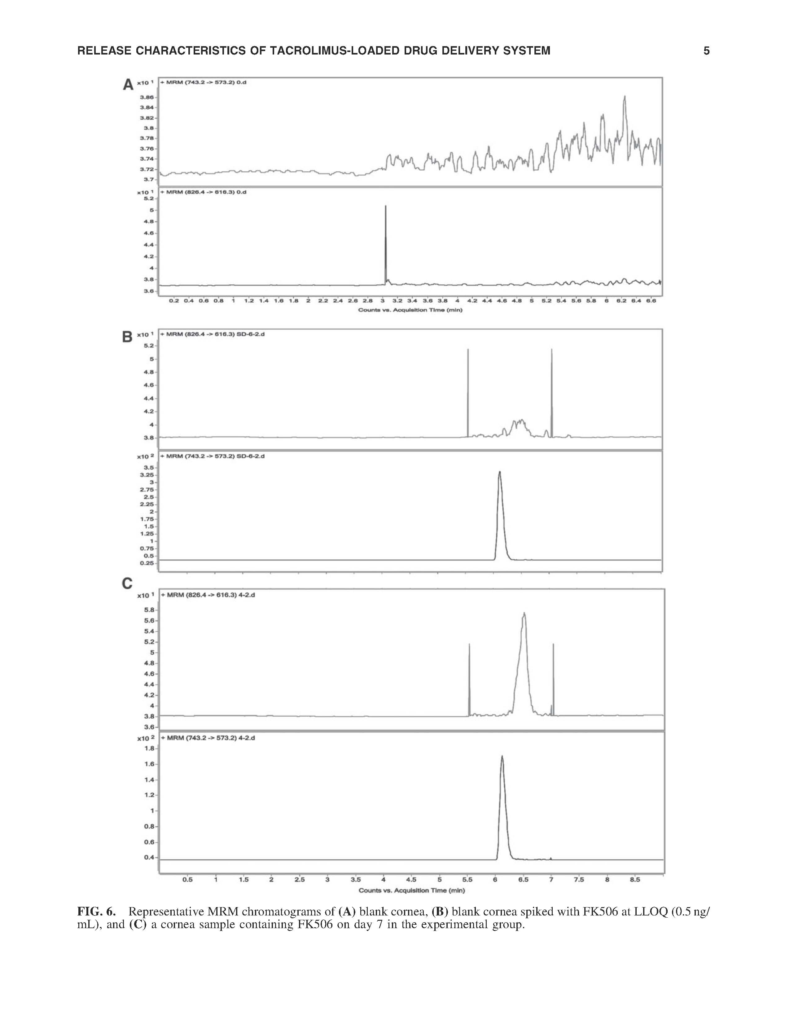 威客电竞·(中国)VKGAME
