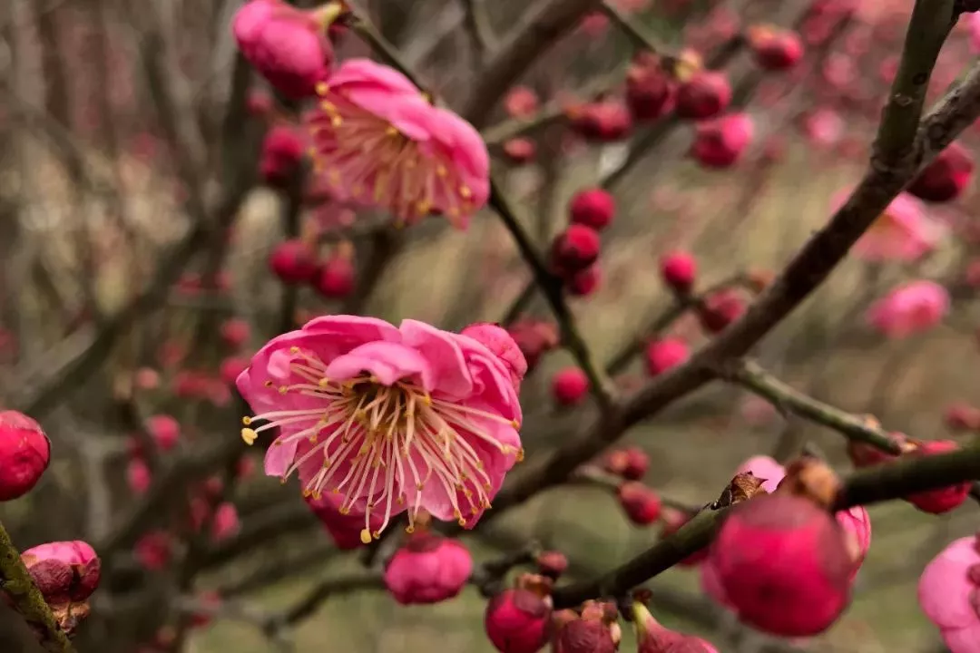 威客电竞·(中国)VKGAME