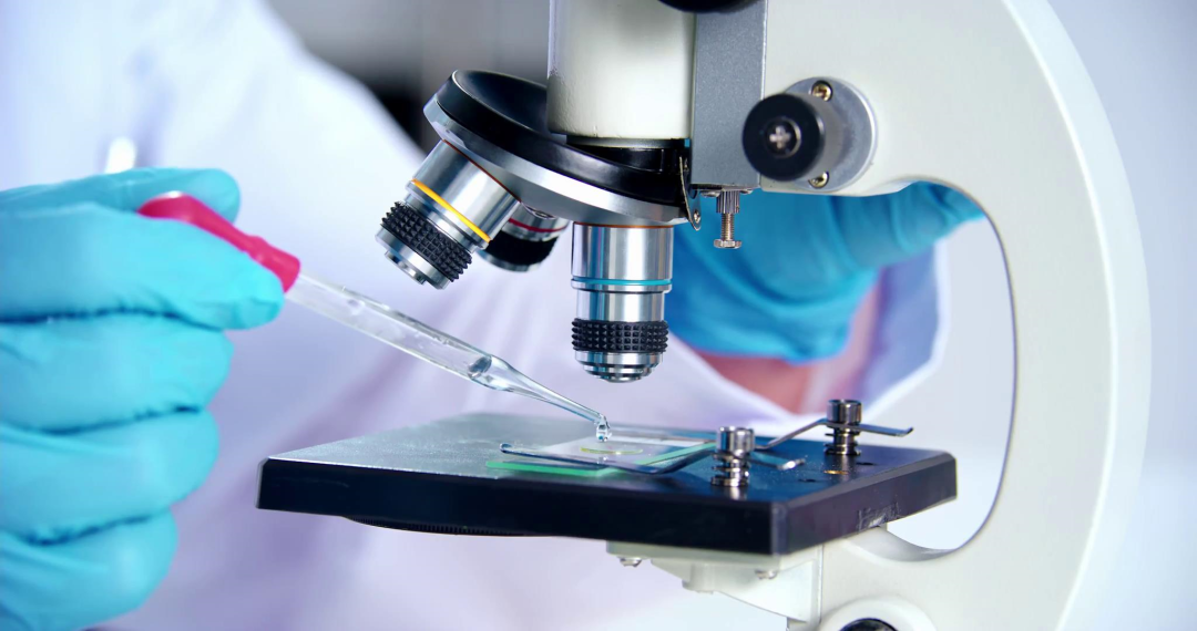 威客电竞·(中国)VKGAME