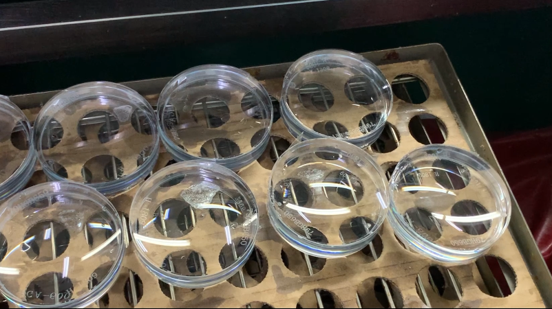 威客电竞·(中国)VKGAME