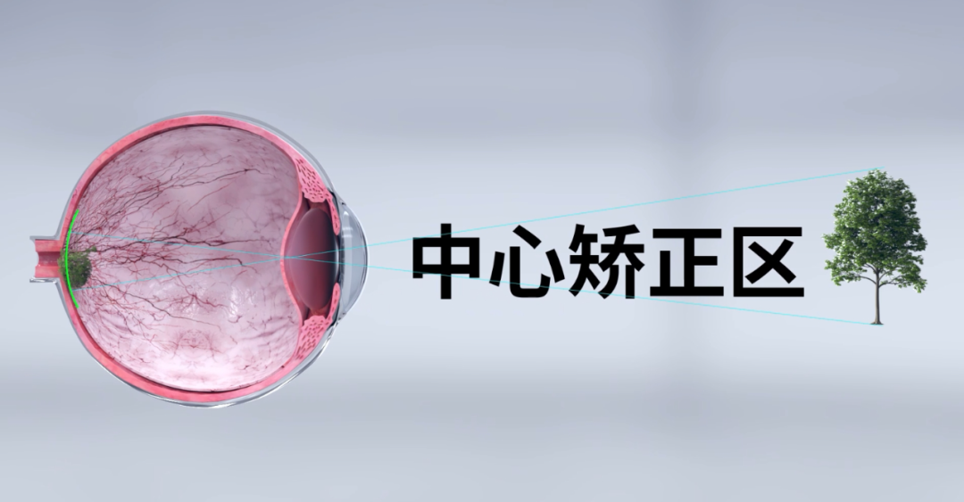 威客电竞·(中国)VKGAME