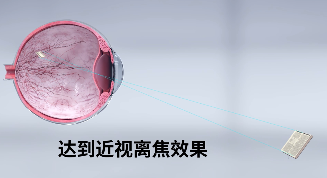 威客电竞·(中国)VKGAME